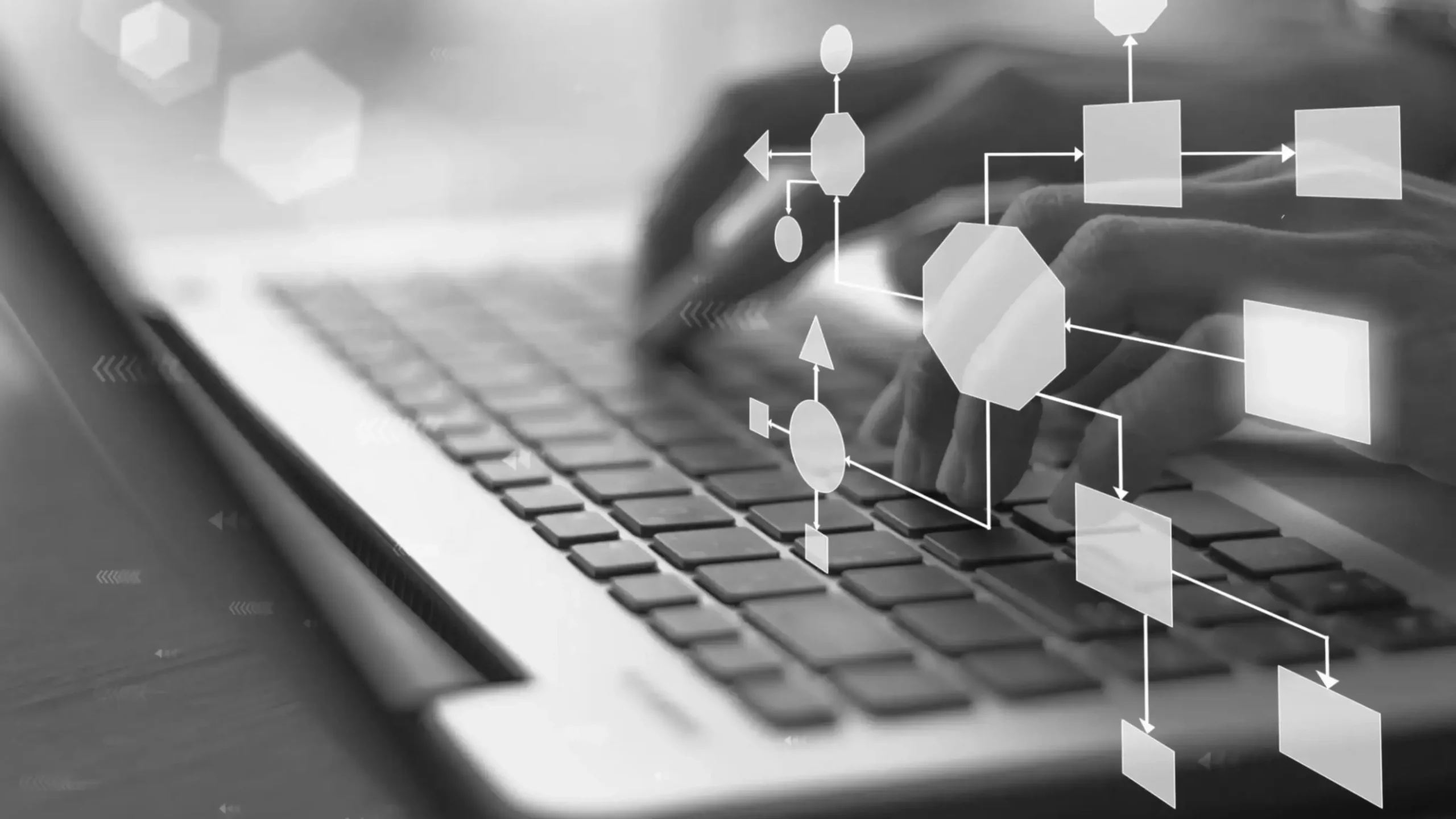 Project Management 5
